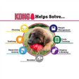 KONG Puppy Dog Toy Supply