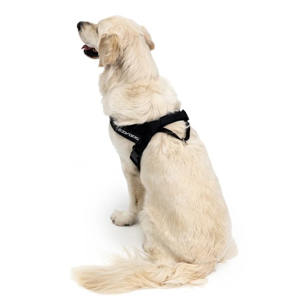 EzyDog Express Harness - Red Online Sale