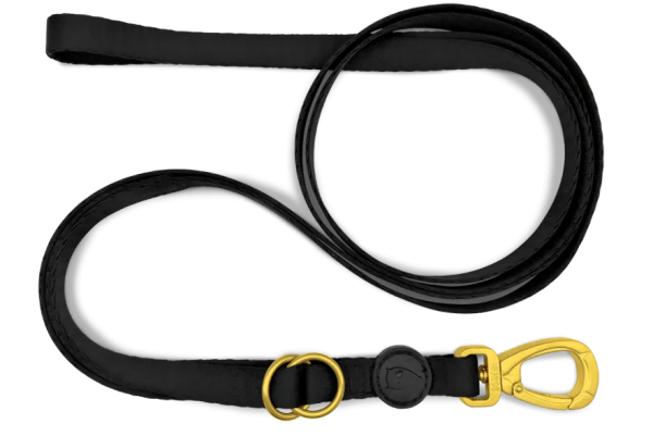 MORSO  multifunction leash Hot on Sale