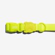 Zee.dog Neopro Collar - Lime Online Sale