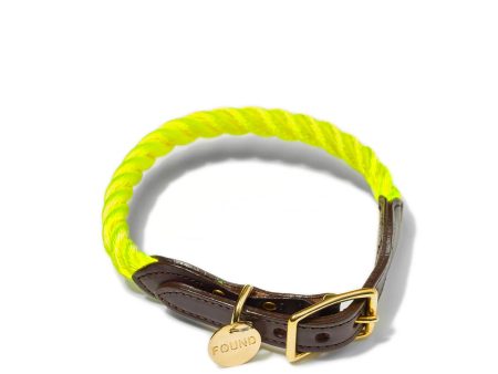 Found My Animal New York Collar - Neon Yellow Hot on Sale