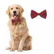 Bow Tie Xmas Glitter Red Dog S,M,L,XL Sale