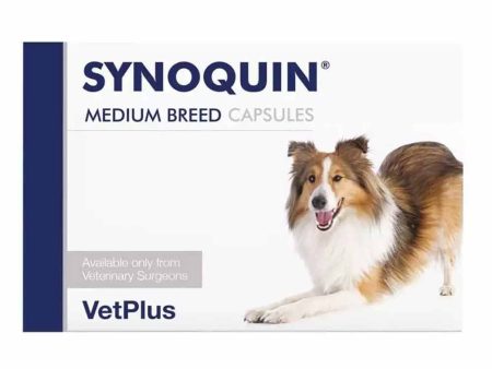 Synoquin EFA Medium Breed Joint Supplement Online Sale