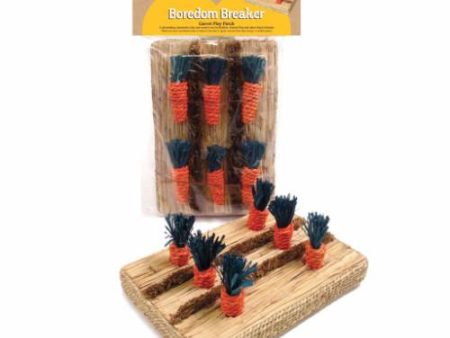 Rosewood  Boredom Breaker Carrot Patch Small Animal Toy Online Sale