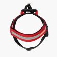 EzyDog Express Harness - Red Online Sale