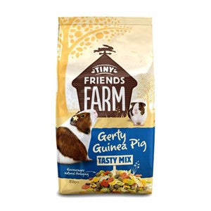 Tiny Friends Farm Gerty Guinea Pig 2.5kg Online Sale