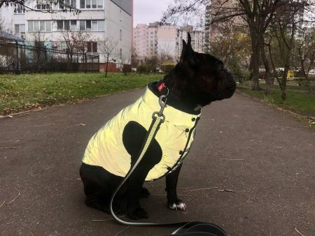 WAUDOG REFLECTIVE DOG JACKET Cheap