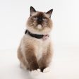 TICKLESS Mini Cat - The new generation of chemical-free ultrasonic tick and flea repellent on Sale