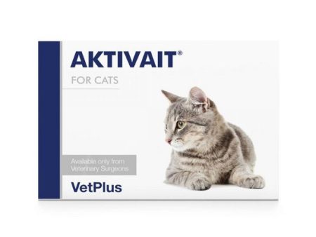 Aktivait for Cats Online now