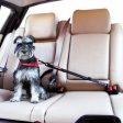 Ezydog Click Adjustable Car Restraint For Cheap