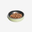 Zee.Cat Duo Bowl - Olive Cheap