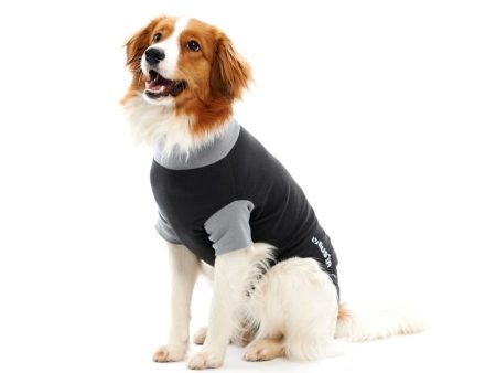 Buster Classic Body Suit for Dogs Online