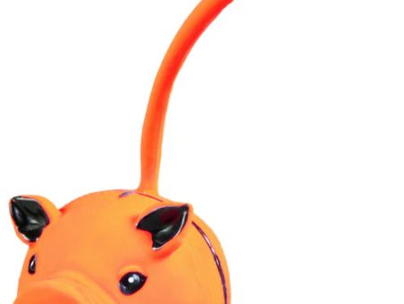 Trixie animal toy balls, latex, diam. 6 cm Online Sale