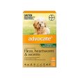 Advocate Fleas, Heartworm & Worms  -  Dogs up to 4kg  -  3 pack Cheap