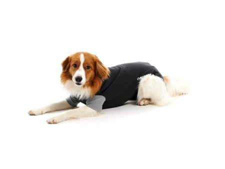 Buster Easygo Body Suit for Dogs Online Hot Sale